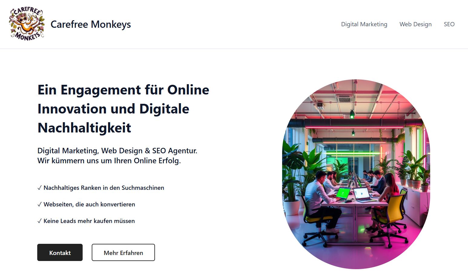 Olesiv website screenshot
