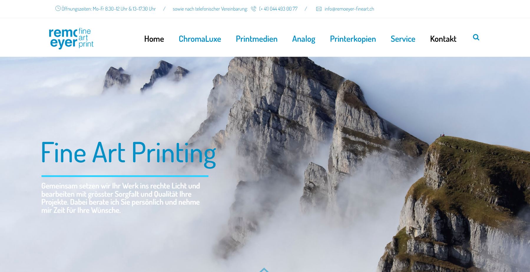 Remoeyer Fine Art website screenshot